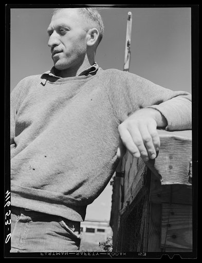 Untitled photo, possibly related to: Paul Klappersack, Jewish poultry farmer and FSA (Farm Security Administration) client of Wallingford, Connecticut