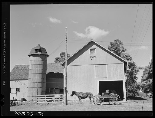 Untitled photo, possibly related to: Horse and buggy at blacksmith shop on the farm of Emerson J. Leonard. Westville, Connecticut