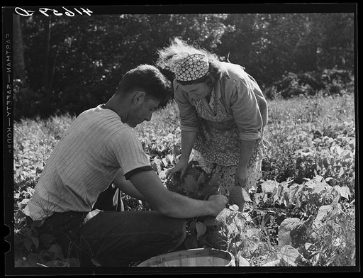 Mrs. Louis Saffer and one of her sons. Jewish truck farmers near Branford, Connecticut