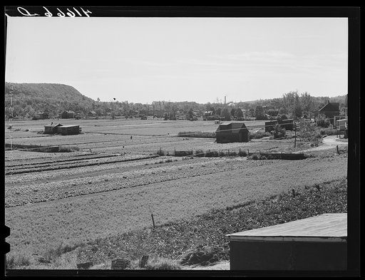 Truck farms near New Haven, Connecticut