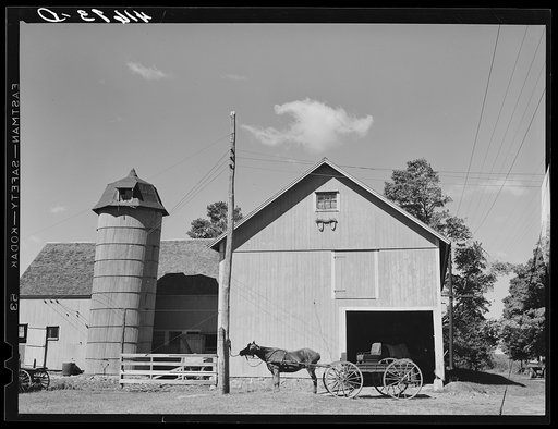 Horse and buggy at blacksmith shop on the farm of Emerson J. Leonard. Westville, Connecticut