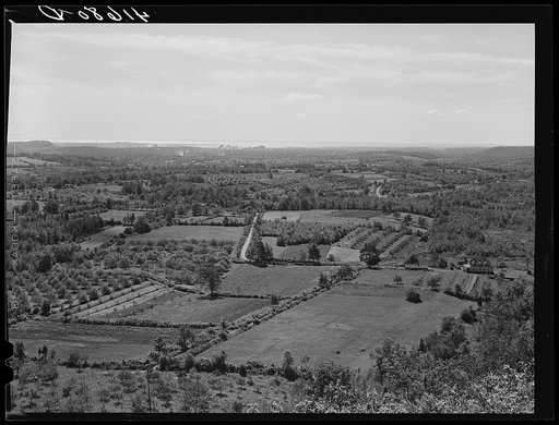Farms in the vicinity of New Haven, Connecticut. In the background is the city of New Haven and Long Island Sound