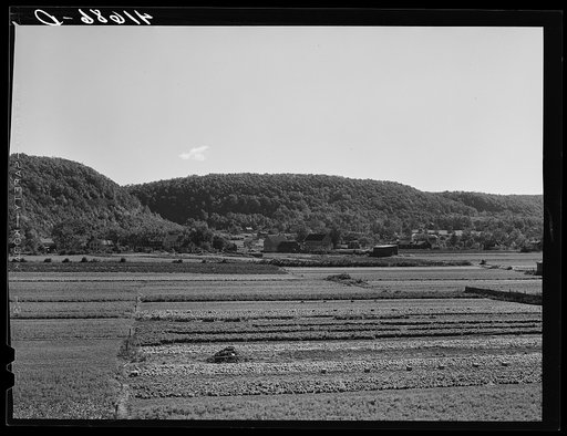 Truck farms just outside New Haven, Connecticut