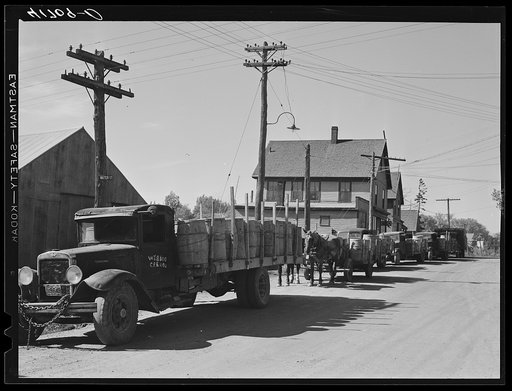 Trucks loaded with potatoes lined up in front of a starch factory in Caribou, Maine