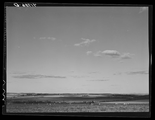 Untitled photo, possibly related to: Potato farm near Caribou, Maine
