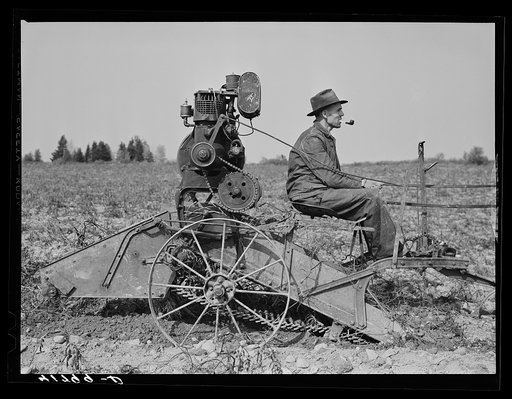 French-Canadian potato farmer on his horse-drawn digger on a small farm near Caribou, Maine