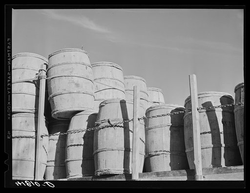 In Aroostock, the farmer speaks of his potatoes in terms of barrels rather than bushels or sacks. Truckload of barrels near Washburn, Maine