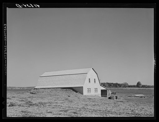 Potato storage barn on a field near Caribou, Maine. The earth is built up around the sides to provide a more even temperature throughout the year