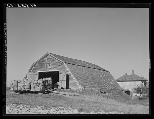 Potato storage barn on a field near Caribou, Maine. The earth is built up around the sides to provide a more even temperature throughout the year