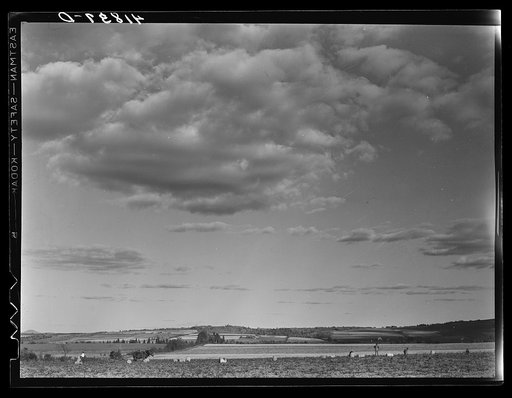 Potato farm near Caribou, Maine