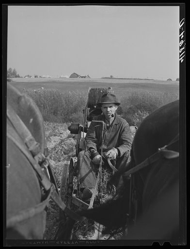 French Canadian potato farmer on a horse-drawn digger. Near Caribou, Maine
