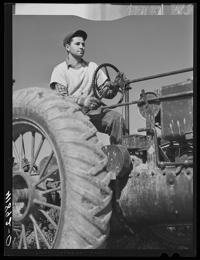 Tractor driver on a potato farm near Caribou, Maine