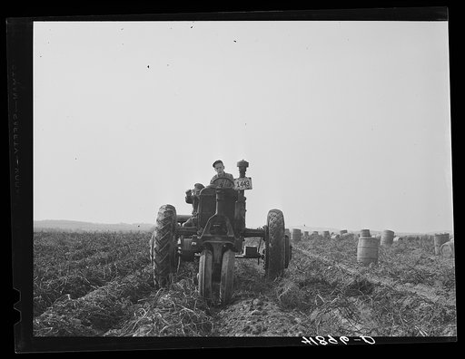 Untitled photo, possibly related to: Tractor-drawn potato digger in a field near Caribou, Maine