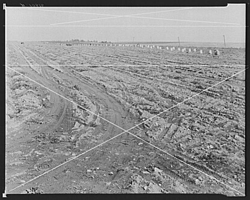 Potato barrels on one of the large farms in Aroostook County, near Caribou, Maine