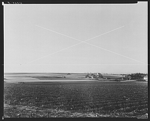 Aroostook farm landscape. In the foreground is a potato field ready to be harvested. Near Caribou, Maine