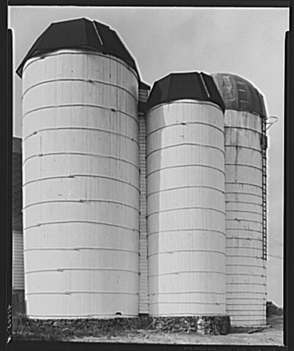 Silos on the farm of Mrs. DeWitt Lassen. Cheshire, Connecticut
