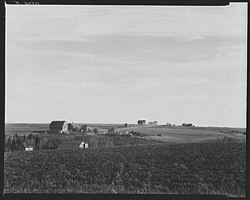 Aroostook farm landscape. In the foreground is a potato field ready to be harvested. Near Caribou, Maine