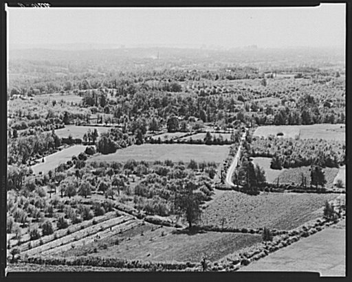 View of the vicinity of New Haven, Connecticut, showing small truck farms and orchards. In the background, the city of New Haven
