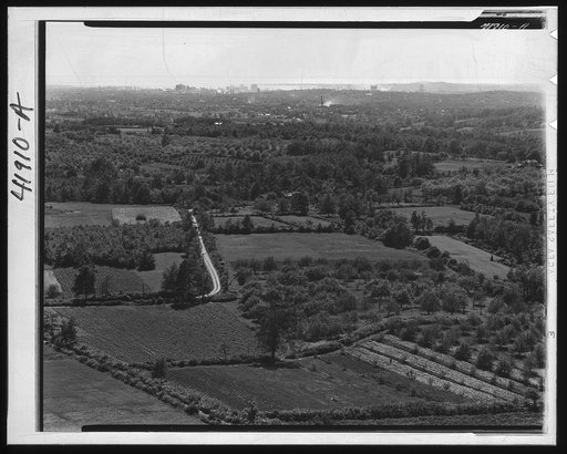 View of the vicinity of New Haven, Connecticut, showing small truck farms and orchards. In the background, the city of New Haven