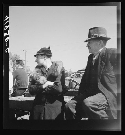 An old couple listening to the auctioneer at the sale of Mr. Anthony Yecek's farm. Derby, Connecticut