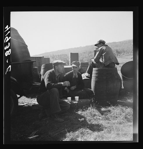 Untitled photo, possibly related to: Customers at the auction sale of Mr. Anthony Yacek's farm, taking time out for some lunch. Derby, Connecticut