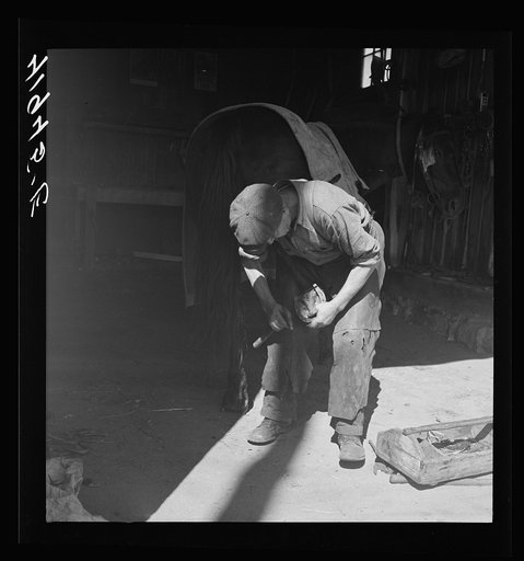 Untitled photo, possibly related to: Shoeing a horse in the barn of Mr. Emerson J. Leonard. Wallingford, Connecticut