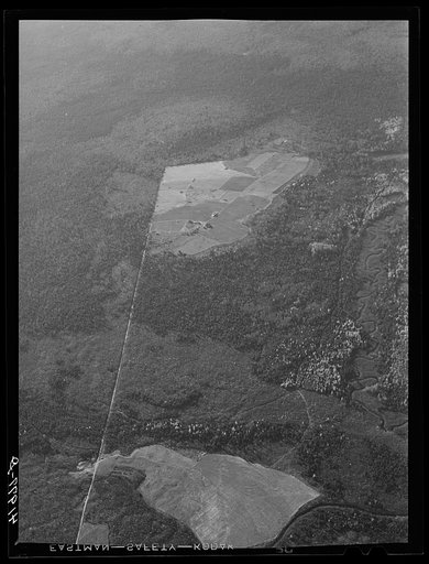 Untitled photo, possibly related to: Potato seed foundation farm showing isolation. See general caption Aroostook number one
