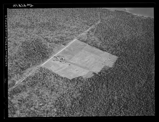 Isolated seed foundation farm of Claude Levesque, FSA (Farm Security Administration) client near Van Buren, Maine