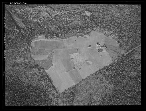 Potato seed foundation farm showing isolation. See general caption Aroostook number one