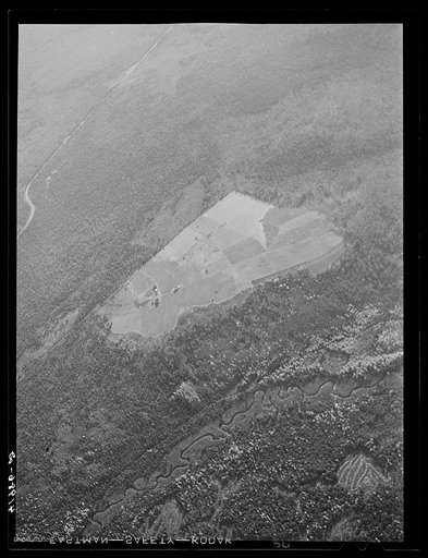 Untitled photo, possibly related to: Potato seed foundation farm showing isolation. See general caption Aroostook number one