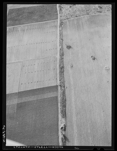 Untitled photo, possibly related to: Potato field after the crop was gathered. The long horizontal rows are waste vines gathered up to be burned. Near Caribou, Maine