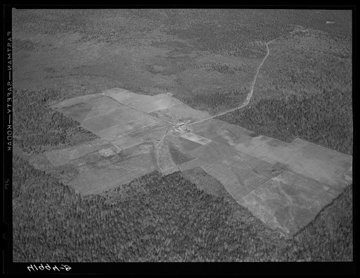 The Holmquist seed foundation farm near New Sweden, Maine. See general caption Aroostook County number one