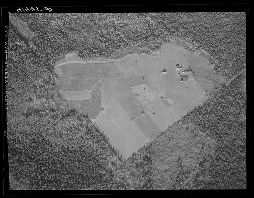 Untitled photo, possibly related to: Potato seed foundation farm showing isolation. See general caption Aroostook number one