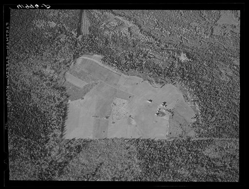 Untitled photo, possibly related to: Potato seed foundation farm showing isolation. See general caption Aroostook number one