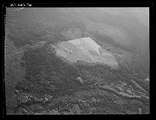 Untitled photo, possibly related to: Potato seed foundation farm showing isolation. See general caption Aroostook number one