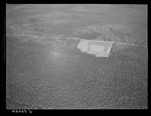 Untitled photo, possibly related to: Potato seed foundation farm showing isolation. See general caption Aroostook number one