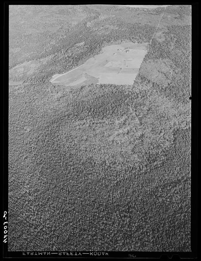 Untitled photo, possibly related to: Potato seed foundation farm showing isolation. See general caption Aroostook number one