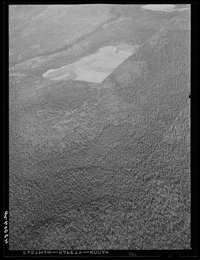 Untitled photo, possibly related to: Potato seed foundation farm showing isolation. See general caption Aroostook number one