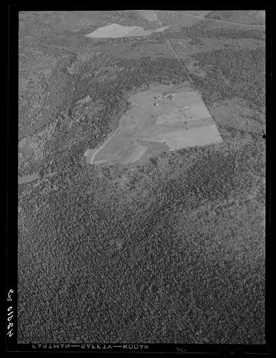 Untitled photo, possibly related to: Potato seed foundation farm showing isolation. See general caption Aroostook number one