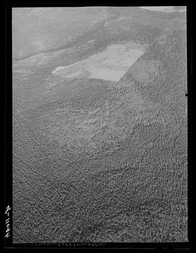Untitled photo, possibly related to: Potato seed foundation farm showing isolation. See general caption Aroostook number one