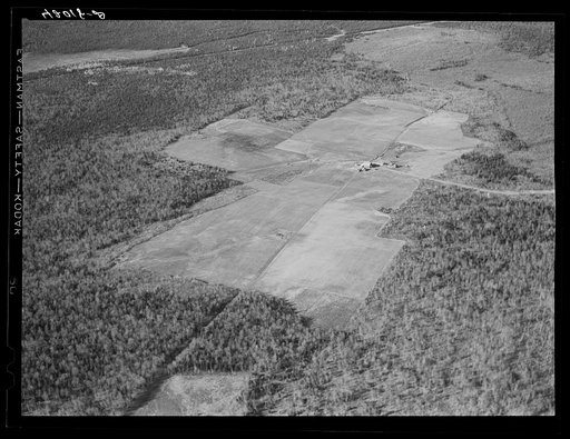 Untitled photo, possibly related to: The Holmquist seed foundation farm near New Sweden, Maine. See general caption Aroostook County number one