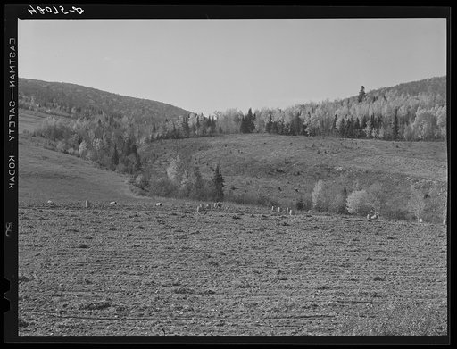 Isolated see foundation unit of Mr. Lawrence J. Brown, FSA (Farm Security Administration) client and potato farmer in Eagle Lake, Maine