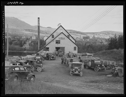 Untitled photo, possibly related to: Farmers with their trucks waiting outside a starch factory in Fort Kent, Maine. Many of them have been there for over twenty-four hours waiting for their potatoes to be graded and weighed