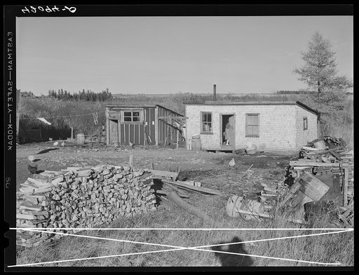Rural slums near Van Buren, Maine, showing firewood gathered for winter