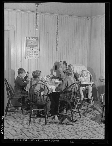 Mr. Lawrence J. Brown, Aroostook potato farmer operates a small seed foundation unit in Eagle Lake, Maine. His three sons and one hired man do all the work. The little boy on the left picked fourteen barrels of potatoes before lunch