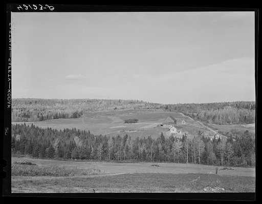 Isolated seed foundation unit of Mr. Lindore Labbee, French-Canadian. Shot shows how fields are surrounded on all sides by forest. Wallagrass, Maine. See general caption Arrostook number 1
