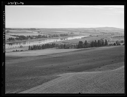 Potato fields just outside Caribou, Maine, along the banks of the Aroostook River