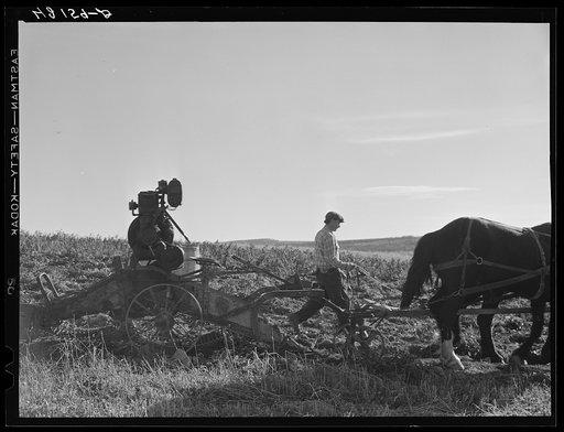 Mr. Edison Houston, FSA (Farm Security Administration) client and potato farmer. He is one of the participants in the community service seed program. Perham, Maine