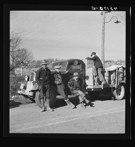 French-Canadian potato farmers waiting in line with truckloads of potatoes to be graded and weighed at a starch factory in Caribou, Maine