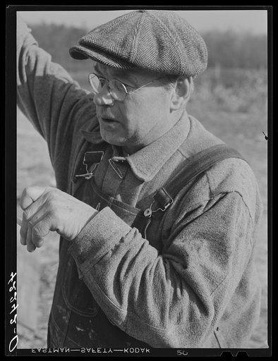 Mr. August Udal, Finnish [Estonian] poultry farmer in Canterbury, Connecticut